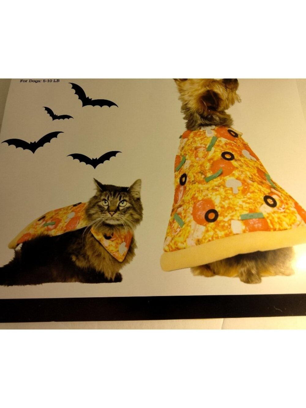 Vibrant Life Pizza Costume Dog Cat Halloween Pet Outfit XS  X Small